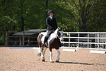 WJ6_7890
