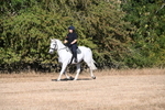 WJ6_6989