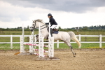 SBM_001767