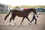 SBM_07100