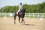 SBM_009667