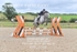 BPP_9168