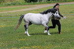 SIAL7652