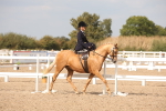 SBM_06709
