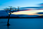 Sunset over Loch Lomond at Milarrochy Bay - 1377