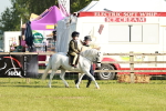 SBM_11015