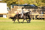 SBM_29381