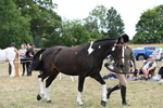 WJ6_6227