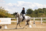 SBM_004131