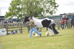 SBM_16090