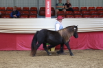 SBM_17428