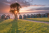 ab253 Gurnard beach huts