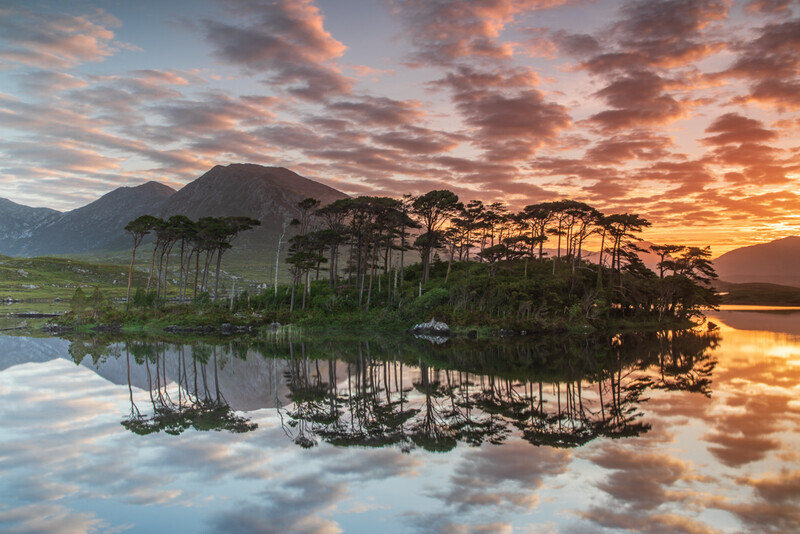 Pine Island Sunrise, Derryclare Lough, Connemara