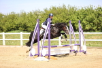 SBM_000850
