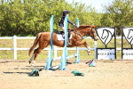 SBM_000690