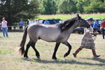 WJ6_5001