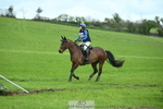 717-Helen.Buckland-LIVERMORES.MIDNIGHT.DIAMOND portfolio