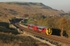 23.10.07 158903 15.05 Carlisle - Leeds Ais Gill Viaduct