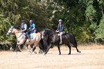 WJ6_9043