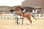 SBM_008440