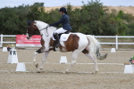 SBM_021065