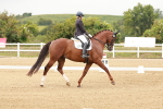 SBM_009823