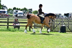 SBM_07870