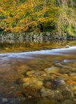 Mawddach reflections, Coed y Brenin