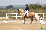 SBM_006136