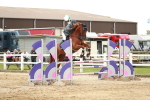 SBM_006200