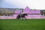 130326-Race 5-Gaelic Warrior-2630