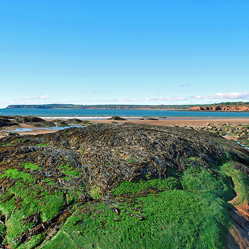 Located on the Bay of Fundy near St. Martins in Saint John County, New Brunswick, Canada. This cove & beach is best e…
