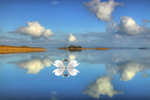 Love, Lake Ree, County Roscommon, Ireland.