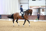 SBM_003736