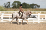 SBM_23294