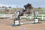 Cls 13 Foxhunter and 1.20m Open portfolio