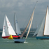 DSC2529