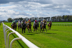 Race 3 portfolio