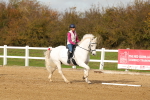 SBM_001766