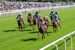 110725-Race 4-Dain Ma Nut In-4271