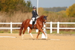 SBM_009327