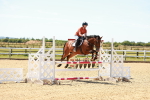 SBM_006003