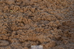 231104A-145748-02232