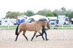 SBM_15336