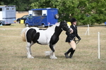 WJ6_6481
