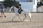 SBM_16900