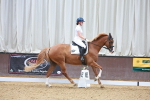SBM_002584