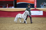 SBM_16064