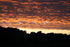 Gourock  in Silhouette