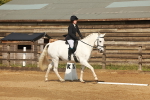 SBM_000153